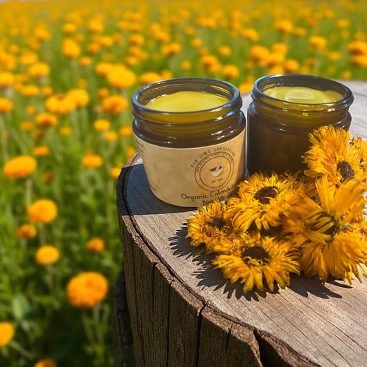 Organic Calendula Salve 2 oz